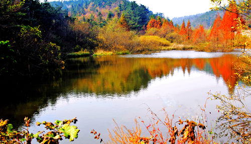 马鬃岭旅游景区