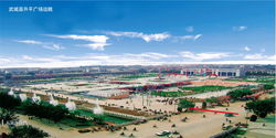 武城风景