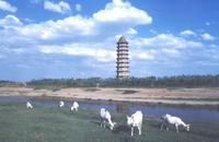 舍利宝塔