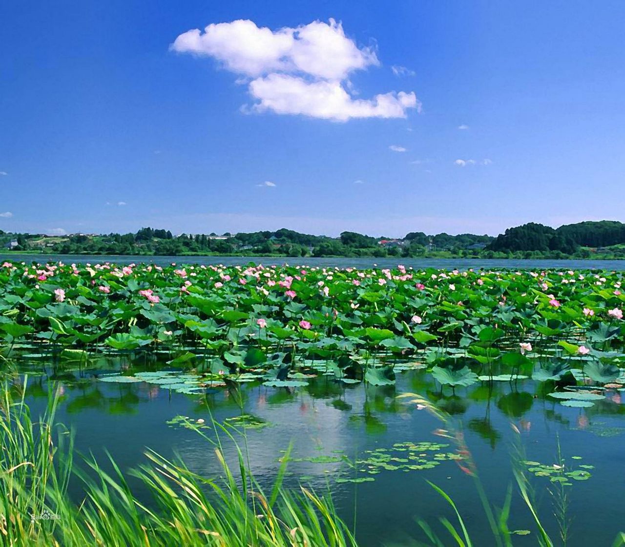 金平风景