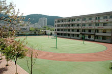 阳明区学校
