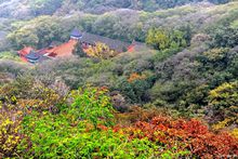 萧城风光