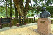 三湾枫树坪