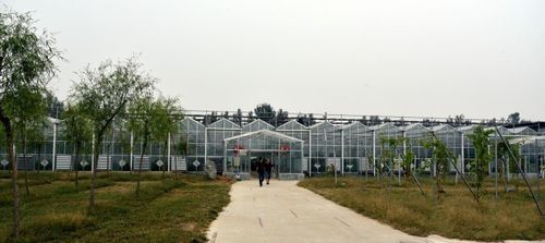 岱岳区良庄现代化农场